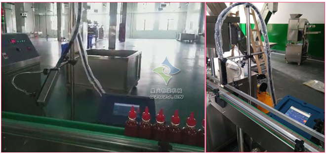 S170噴碼機(jī),全自動(dòng)噴碼機(jī)